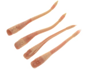 Righetti Girino Killer X-Soft 6cm Light Orange Fish - Img 2