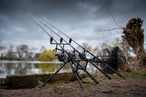 Rod Pod Fox EOS Pentru 2 - 3 Posturi - Img 7