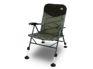 Scaun Delphin Triumph C2G - Img 2