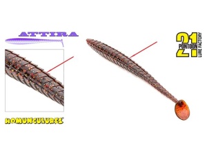 Shad Pontoon21 Attira 7.6cm 410 - Img 2