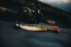 Shad Savage Gear Craft Bleak 10cm 5buc/plic - Img 12