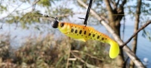 Shad Savage Gear Craft Cannibal Paddletail 6.5cm 4g 4buc/plic Golden Ambulance - Img 5