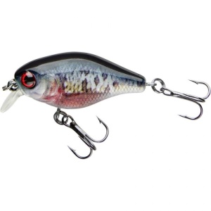Vobler Cormoran COR F3 4cm 3.5g Dying Roach