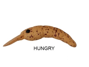 Vobler Herakles Moth Trout Area Sinking 3.7cm 2.4g Hungry