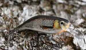 Vobler Hunter Revenger 3.3cm 2.5g sinking Real Perch - Img 3