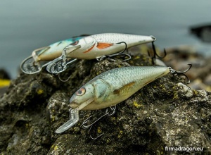 Vobler Salmo Executor IEX5SRF 5cm 5g Floating RR - Img 5