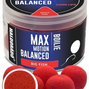 Boilies Haldorado Max Motion Boilie Balanced 20mm 70g - Img 3