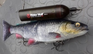Camera Subacvatica Savage Gear Waterwolf 2.0 1080K - Img 4