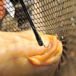 Degorjor Guru QM1 Fishing Hook Disgorger - Img 3