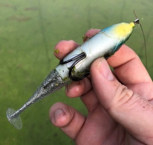 Jackall Grinch 135mm 20g Male Gill Chartreuse Tail - Img 7