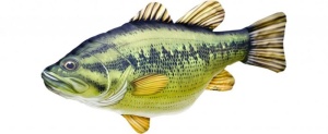 Perna Energo Team Black Bass 66cm