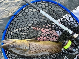 RTB Rubber Landing Net Black and Blue 30 x 35cm - Img 5
