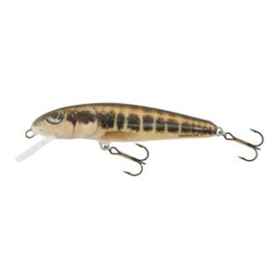 Vobler Salmo Minnow M7F Floating 7cm 6g M