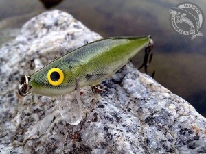 Vobler Salmo Thrill TH9 Sinking 9cm 22g - Img 2