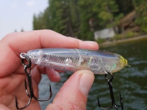 Vobler Yo-Zuri 3DR Pencil 10cm 16g Floating RGSN - Img 2