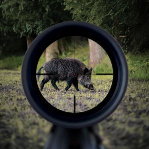 Luneta Minox RS-4 3–12x56 4/IR cu reticul iluminat, paralaxă reglabilă și obiectiv mare pentru performanță la amurg.