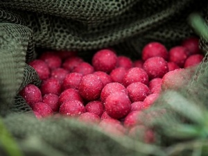 Select Baits Boilies Classic Strawberry 20mm 5kg - Img 3