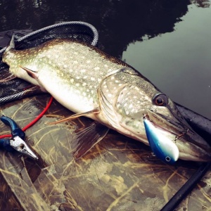 Vida Lures Siliconic Slim 6cm 18g Culoare ZZ - Img 3