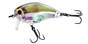 Vobler Yo-Zuri 3DR Wakebait 5cm 8.5g Floating RGLM