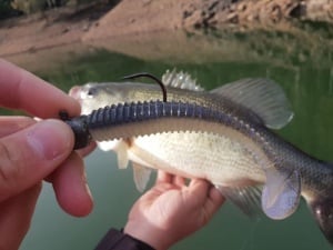 Bass Assassin Litle Boss 9cm Houdini - Img 2