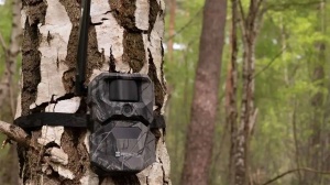 Cameră video night vision 4G HIKMICRO Trail Camera T16 cu senzor 24MP, sistem de lentile cu FOV dual 60°/100°, senzori PIR duali de 0.4s, LED-uri IR invizibile 940nm, transmisie prin aplicația SightApp și stocare internă de 64GB.