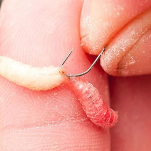 Carlige Guru F1 Maggot Barbless 10buc/plic - Img 2