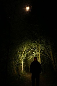 Lanterna Fox Halo Headtorch AL320 - Img 3