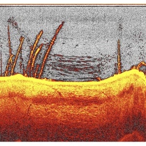 Modul sonar DownScan Deeper Quest Undervision 780kHz pentru imagistica de inalta definitie a structurilor subacvatice.