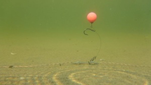PB Heli-Chod Rubber & Beads Gravel - Img 4
