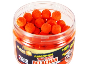 Select Baits Pop-up Thai Spice Belachan 15mm - Img 2