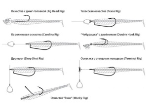 Shad Pontoon21 Attira 8.9cm 436 - Img 5