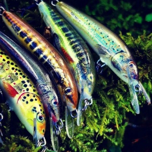 Vobler Salmo Minnow M7F Floating 7cm 6g RER - Img 3