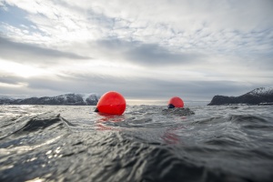 Gamă completă de baloane rotunde albe Polyform seria A (modele de la A1 la A6) destinate acostării și semnalizării maritime, fabricate în Norvegia dintr-o singură bucată din Marine Grade Vinyl, echipate cu ochiuri albastre dublu ranforsate și supapă etanș