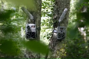 Camera monitorizare ZEISS Secacam 5 5MP GPS LTE cu bliț infraroșu invizibil, destinată monitorizării vânatului și faunei sălbatice în condiții variate de teren.