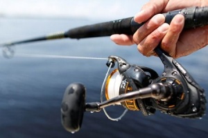 Mulineta Daiwa BG Surf - Img 2