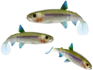 Shad Westin HypoTeez Shadtail 6.5cm Dirty Harbor - Img 3