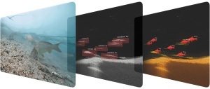 Deeper Smart Sonar CHIRP+ 4 – Puterea inteligenței artificiale și a scanării 3D, oferind cea mai clară fereastră către lumea subacvatică disponibilă astăzi.