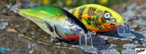 Vobler Salmo Executor IEX5SRF 5cm 5g Floating RR - Img 3