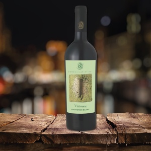 Domeniul Aristitei Vizionar Sauvignon Blanc 2023 0.75L - Img 4