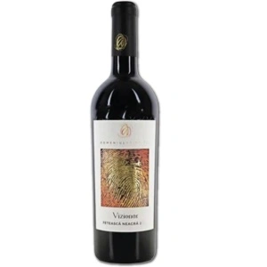 Domeniul Aristitei Vizionar Feteasca Neagra Rezerva 2022 0.75L