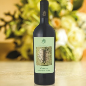 Domeniul Aristitei Vizionar Sauvignon Blanc 2021 0.75L - Img 4