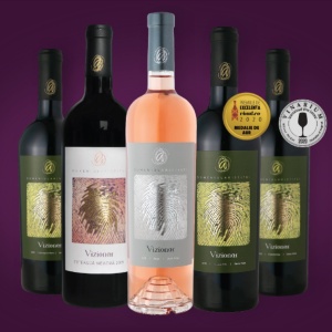 Domeniul Aristitei Vizionar Sauvignon Blanc 2023 0.75L - Img 5