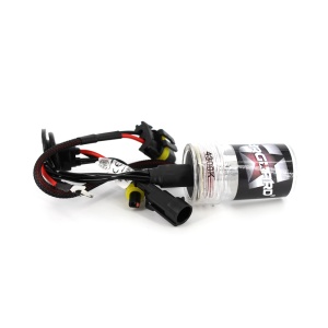 Bec Xenon H11-4,3K - CARGUARD - Img 2
