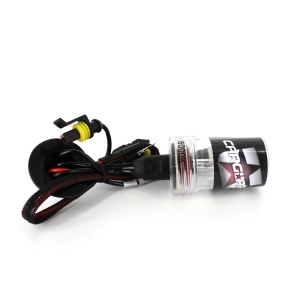 Bec Xenon H11-6K - CARGUARD - Img 2