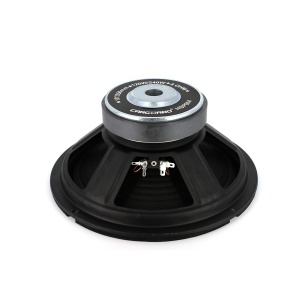 Difuzor HI-FI HOME 10" (254 mm) 120/240W / 8 Ohm - Img 4