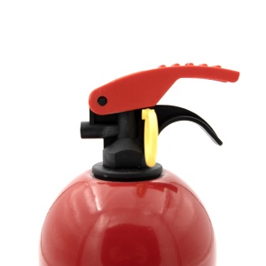 Stingator cu pulbere 1KG , model B C - Img 2