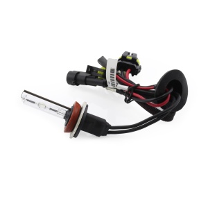 Bec Xenon H8-4,3K - CARGUARD - Img 3