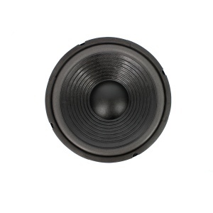 Difuzor HI-FI HOME 10" (254 mm) 120/240W / 8 Ohm - Img 2