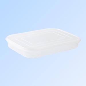 Cutie de depozitare de uz casnic, Flippy, Caserola pentru Frigider, Rezistenta la umiditate, Rezervor Sigilat pentru Depozitare Alimentara, 24.5 x 18.5 x 3.5cm, Alb Transparent