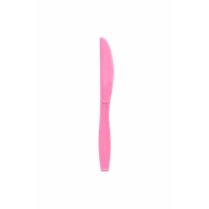 Set Cutite de Unica Folosinta, Flippy, 10 Bucati, Plastic Rezistent, 17 x 1.6 cm, Culoare Roz